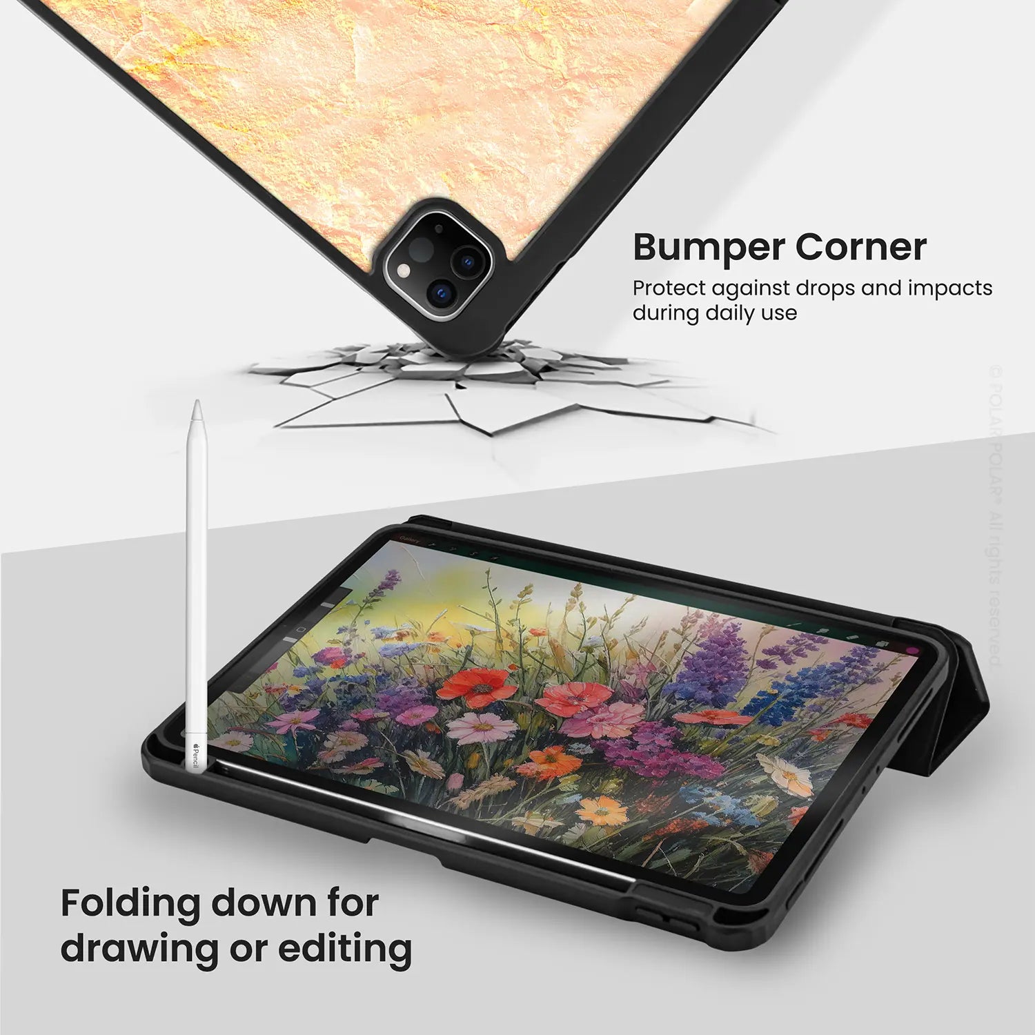 Standard_iPad Pro 11-inch (4th 3rd 2nd gen) | Black