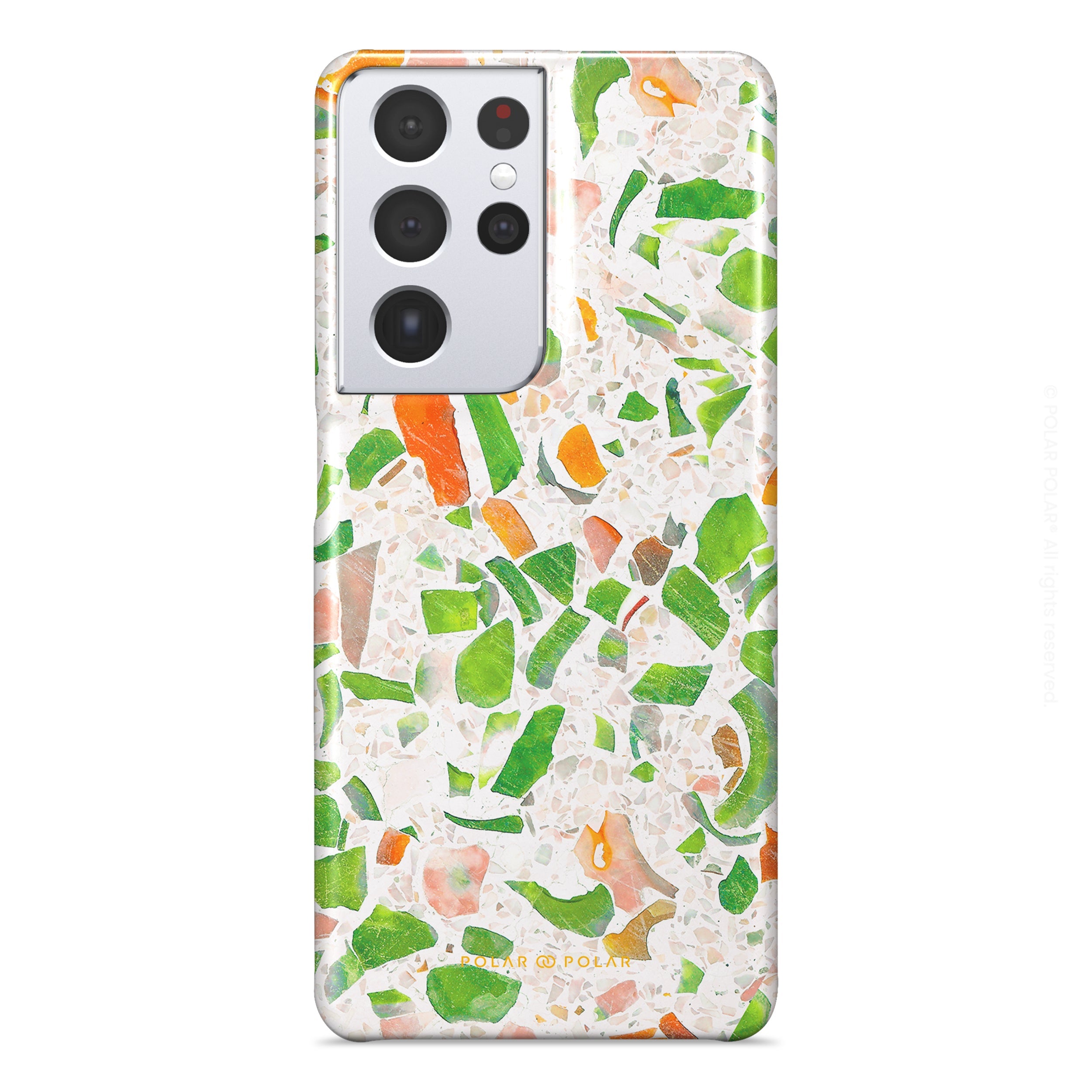 Standard_Samsung Galaxy S21 Ultra 5G | Snap Case | Common