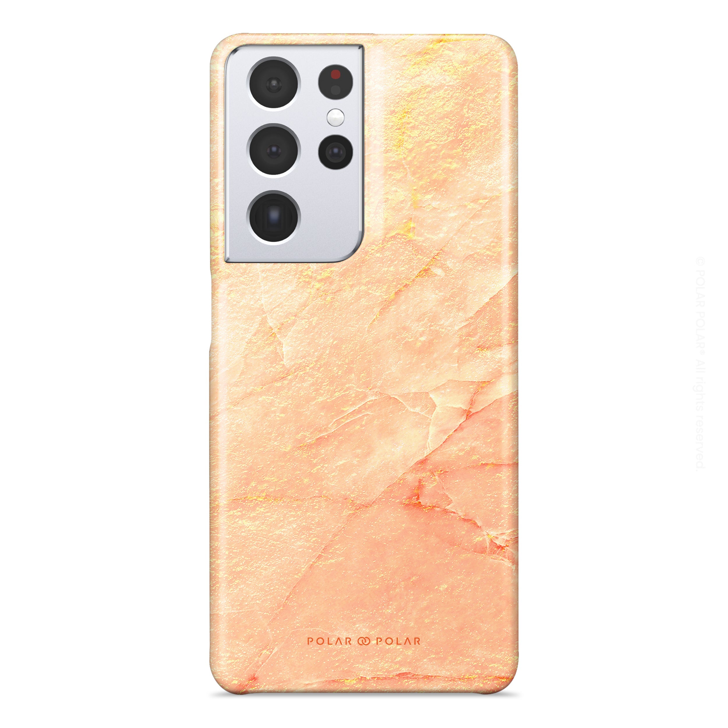 Standard_Samsung Galaxy S21 Ultra 5G | Snap Case | Common